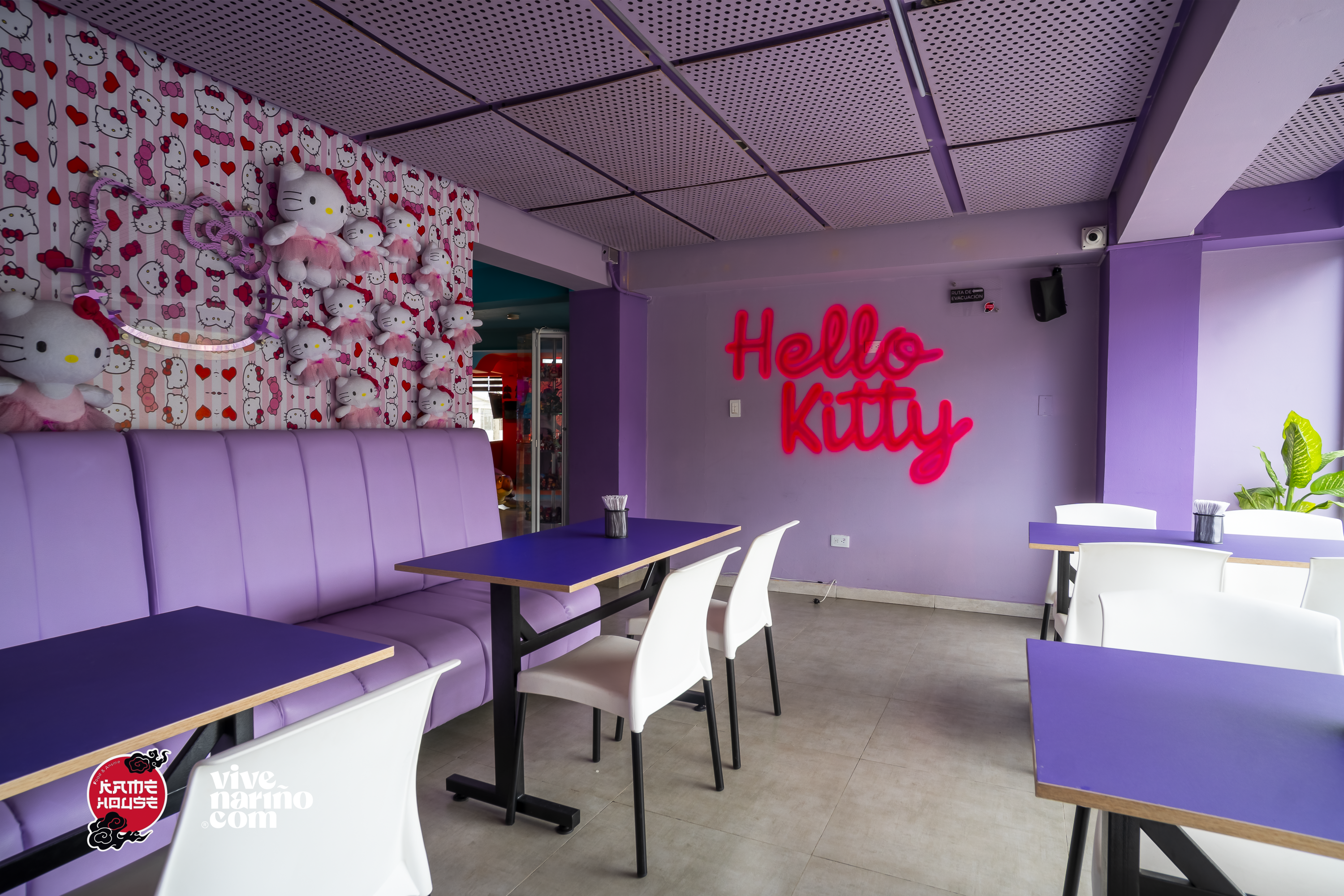 Restaurante Kame House Pasto - imagen 4